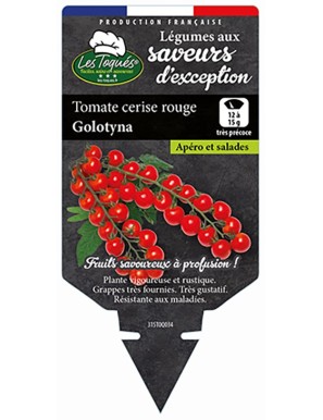 Tomate cerise rouge Golotyna