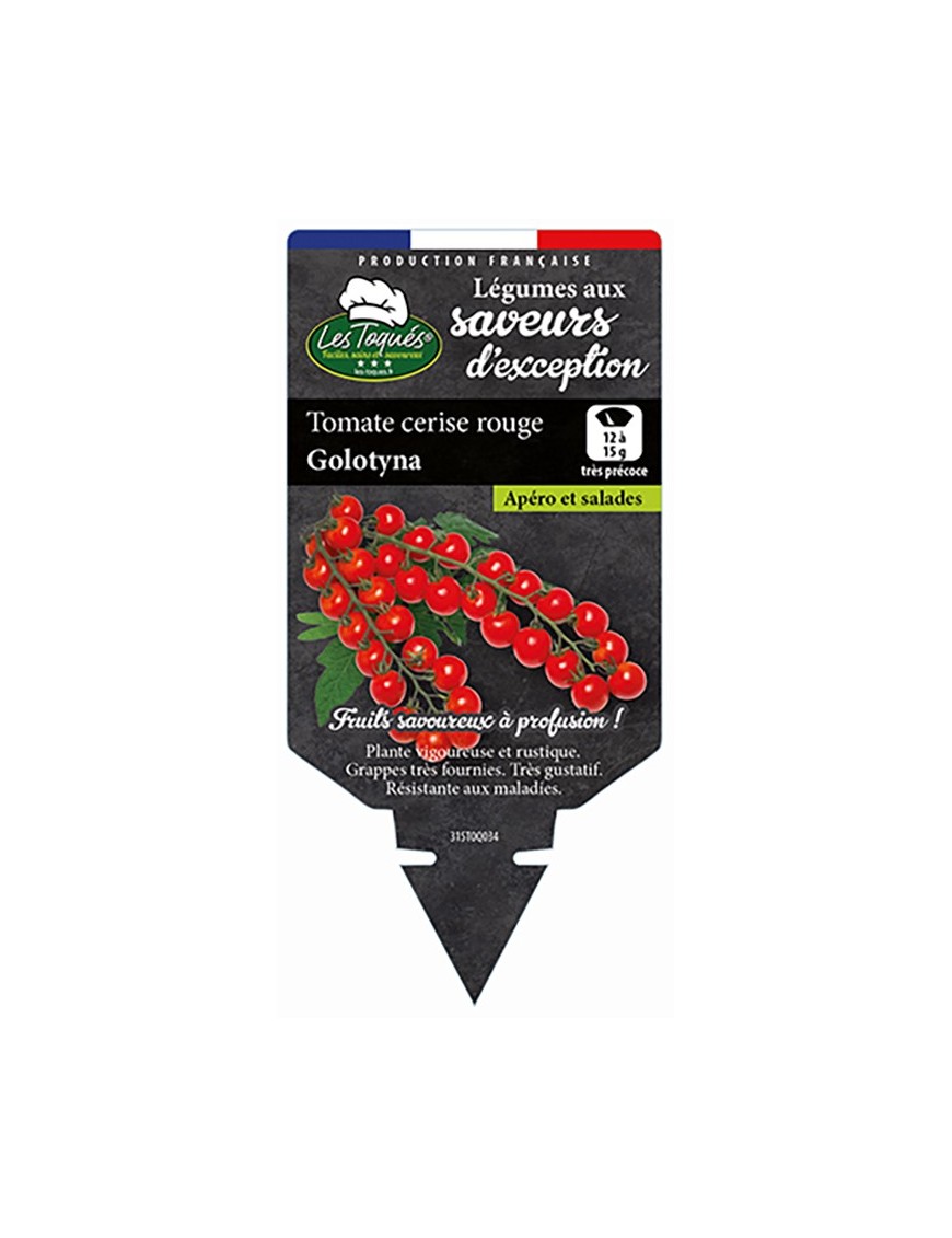 Tomate cerise rouge Golotyna