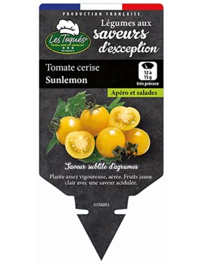 Tomate cerise Sunlemon
