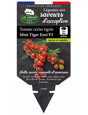 Tomate cerise tigrée Mini Tiger Eyes®