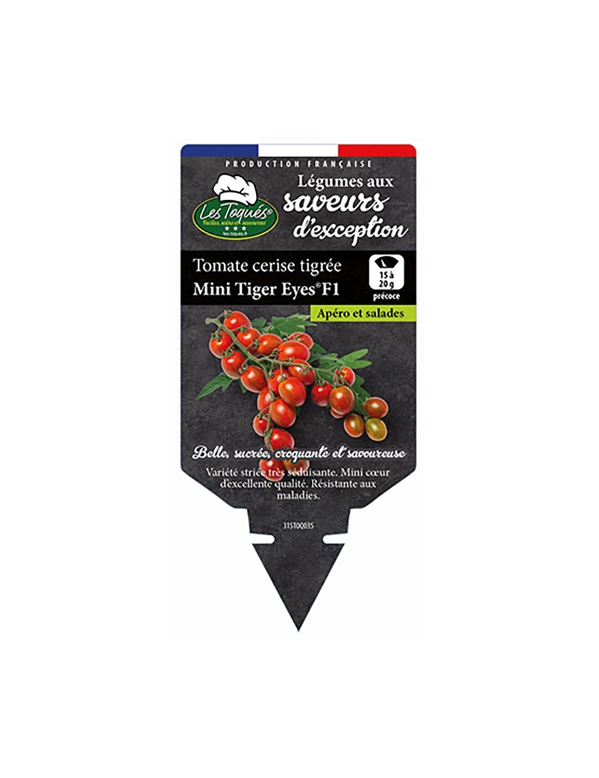 Tomate cerise tigrée Mini Tiger Eyes®