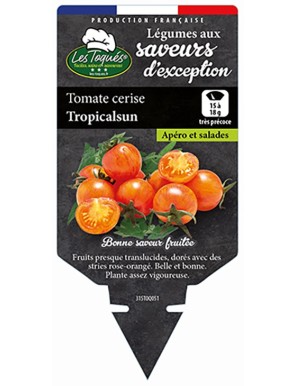Tomate cerise Tropicalsun