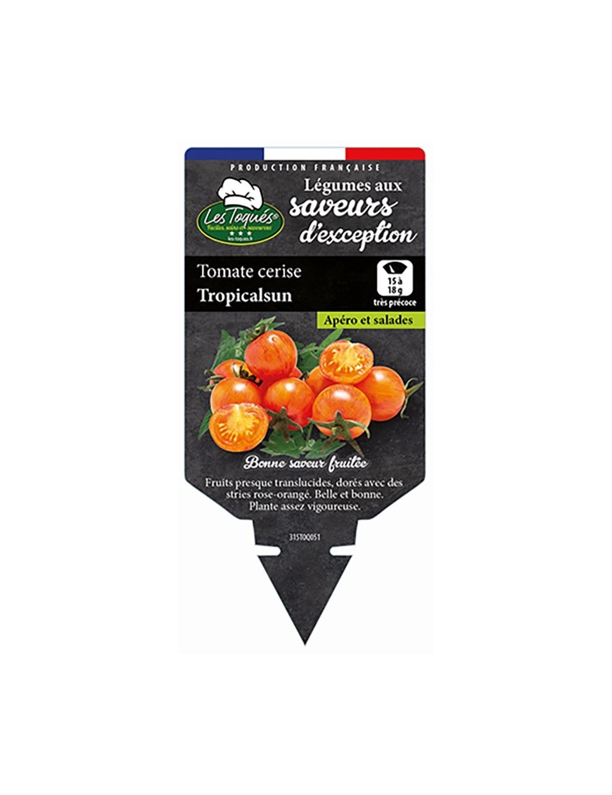 Tomate cerise Tropicalsun
