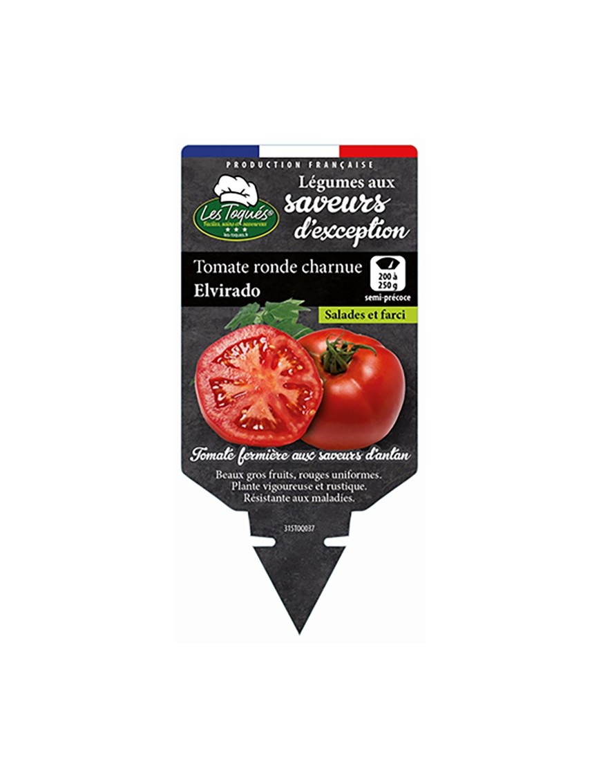 Tomate ronde charnue Elvirado