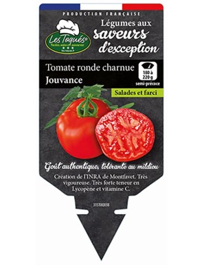 Tomate ronde charnue Jouvance
