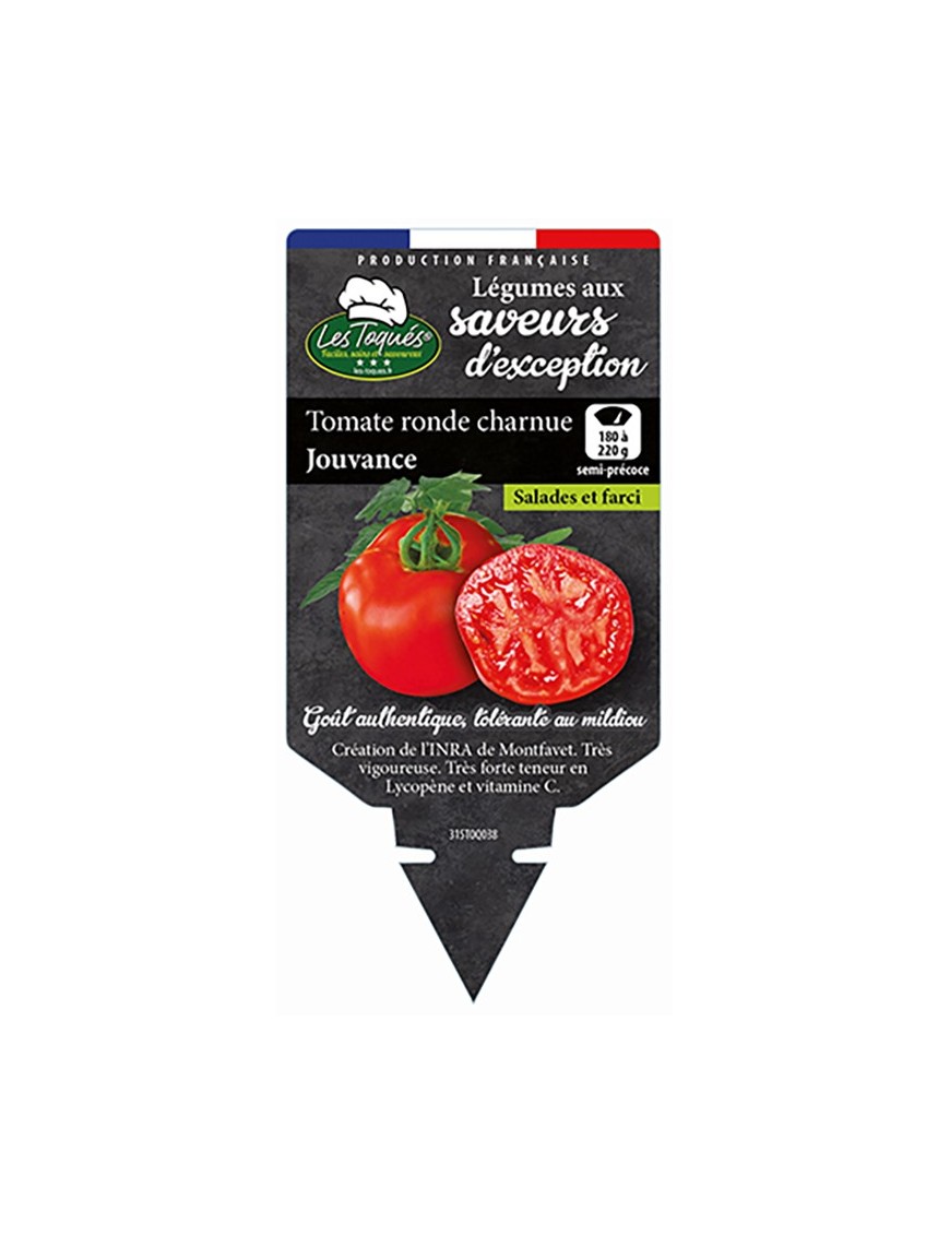 Tomate ronde charnue Jouvance