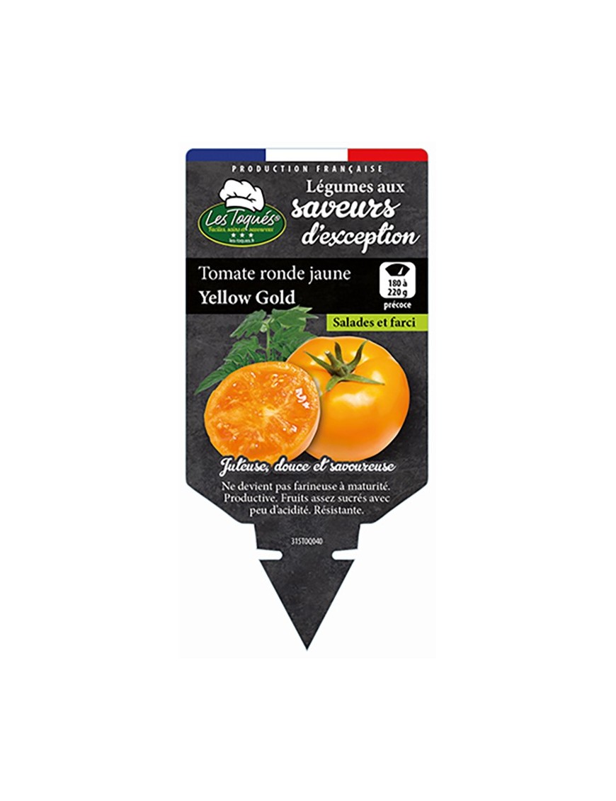 Tomate ronde jaune Yellow Gold