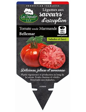 Tomate ronde Marmande Bellemar