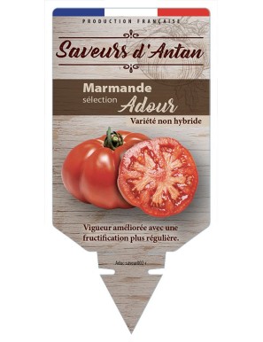Tomate Marmande sélection Adour