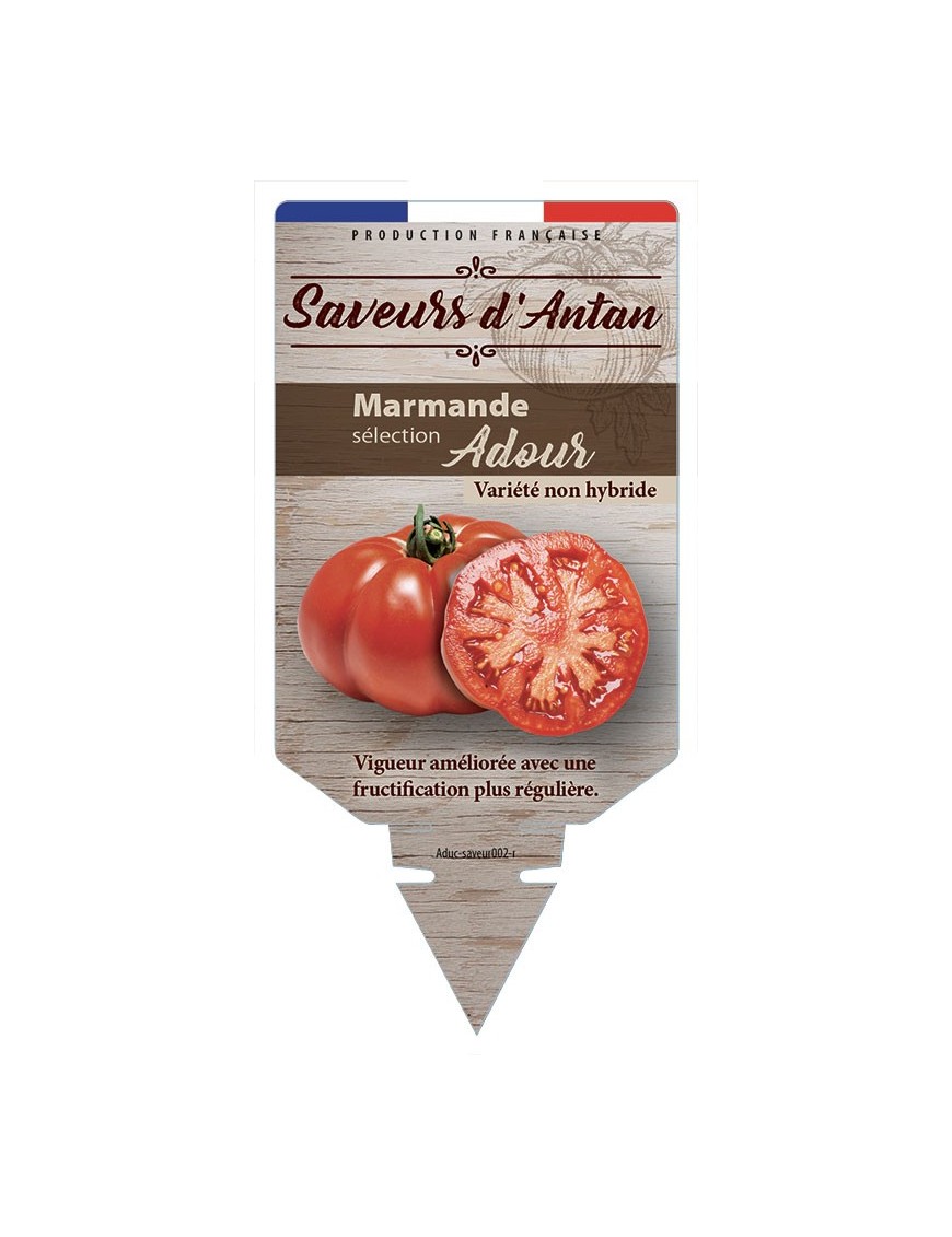 Tomate Marmande sélection Adour