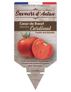 Tomate Cœur de Bœuf sélection Cardinal