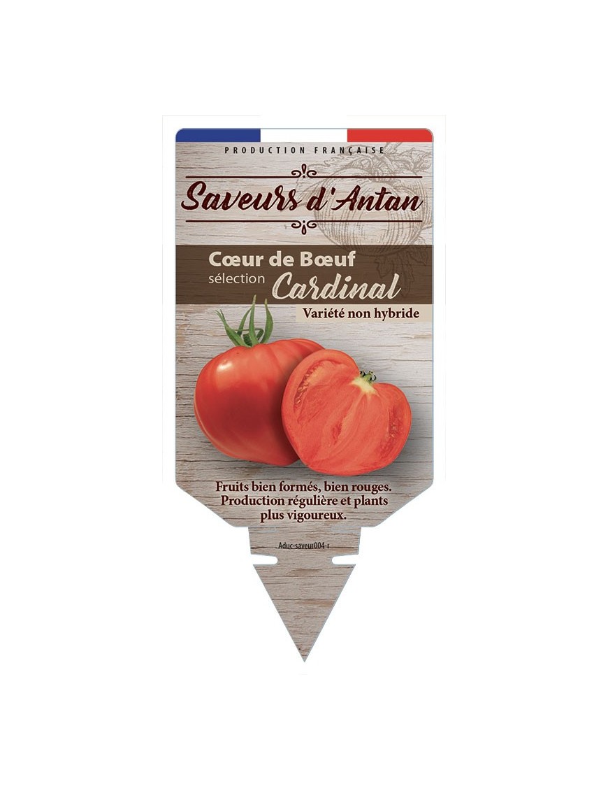 Tomate Cœur de Bœuf sélection Cardinal