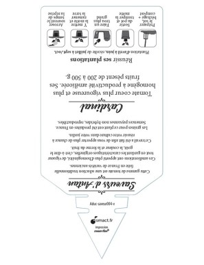 Tomate Cœur de Bœuf sélection Cardinal