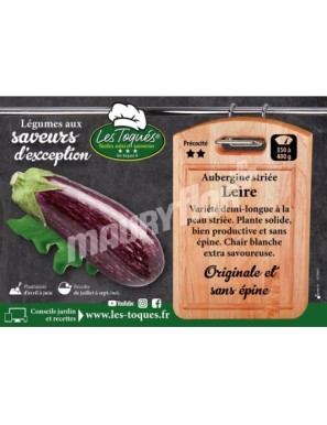 Aubergine Leire F1