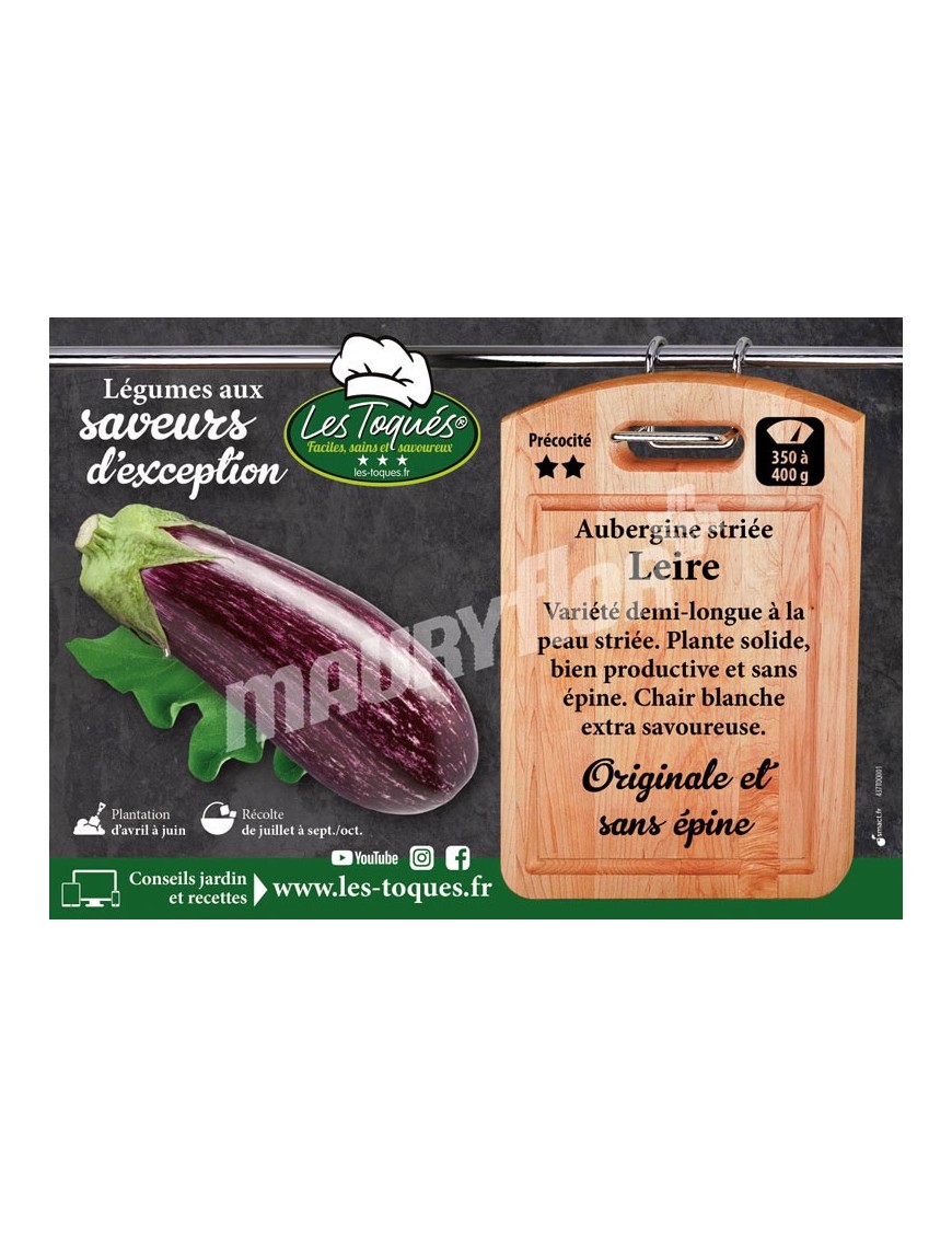 Aubergine Leire F1