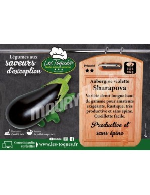 Aubergine Sharapova F1