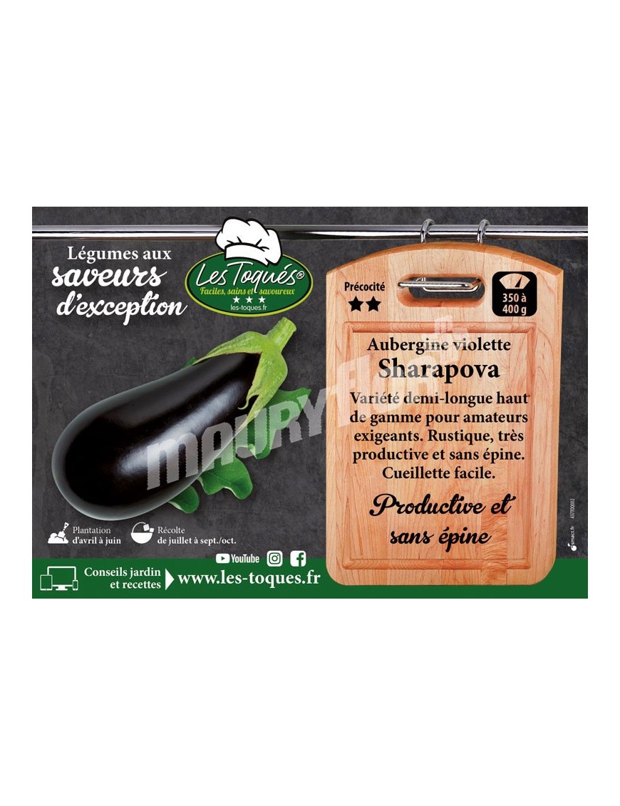 Aubergine Sharapova F1