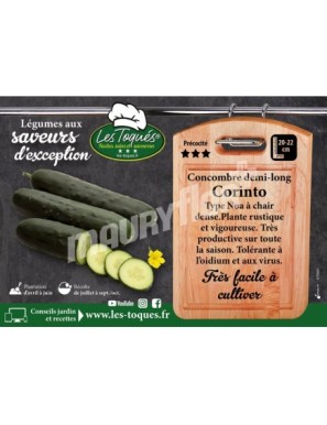 Concombre Corinto F1