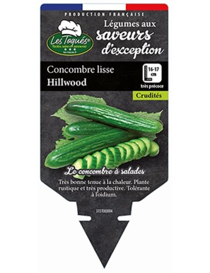 Concombre lisse Hillwood