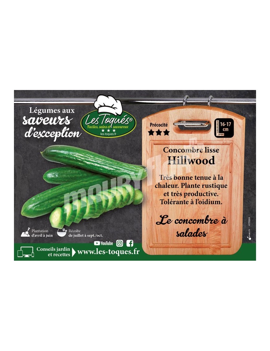 Concombre Hillwood F1