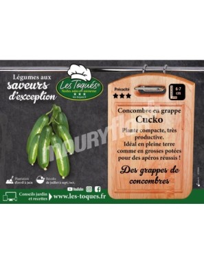Concombre Cucko F1