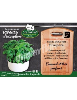 Basilic Prospera F1