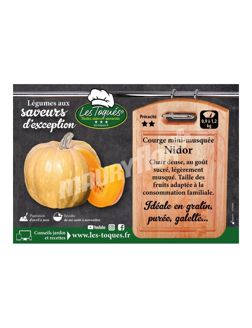 Courge  Nidor F1