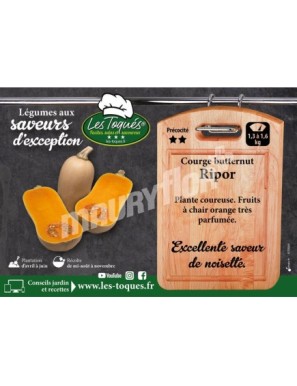 Courge Butternut Ripor F1