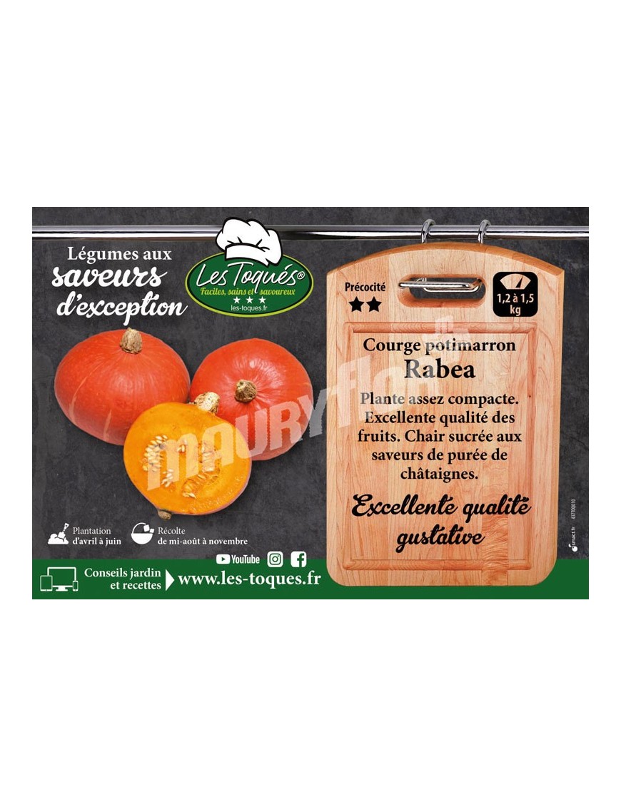 Courge potimarron Rabea F1