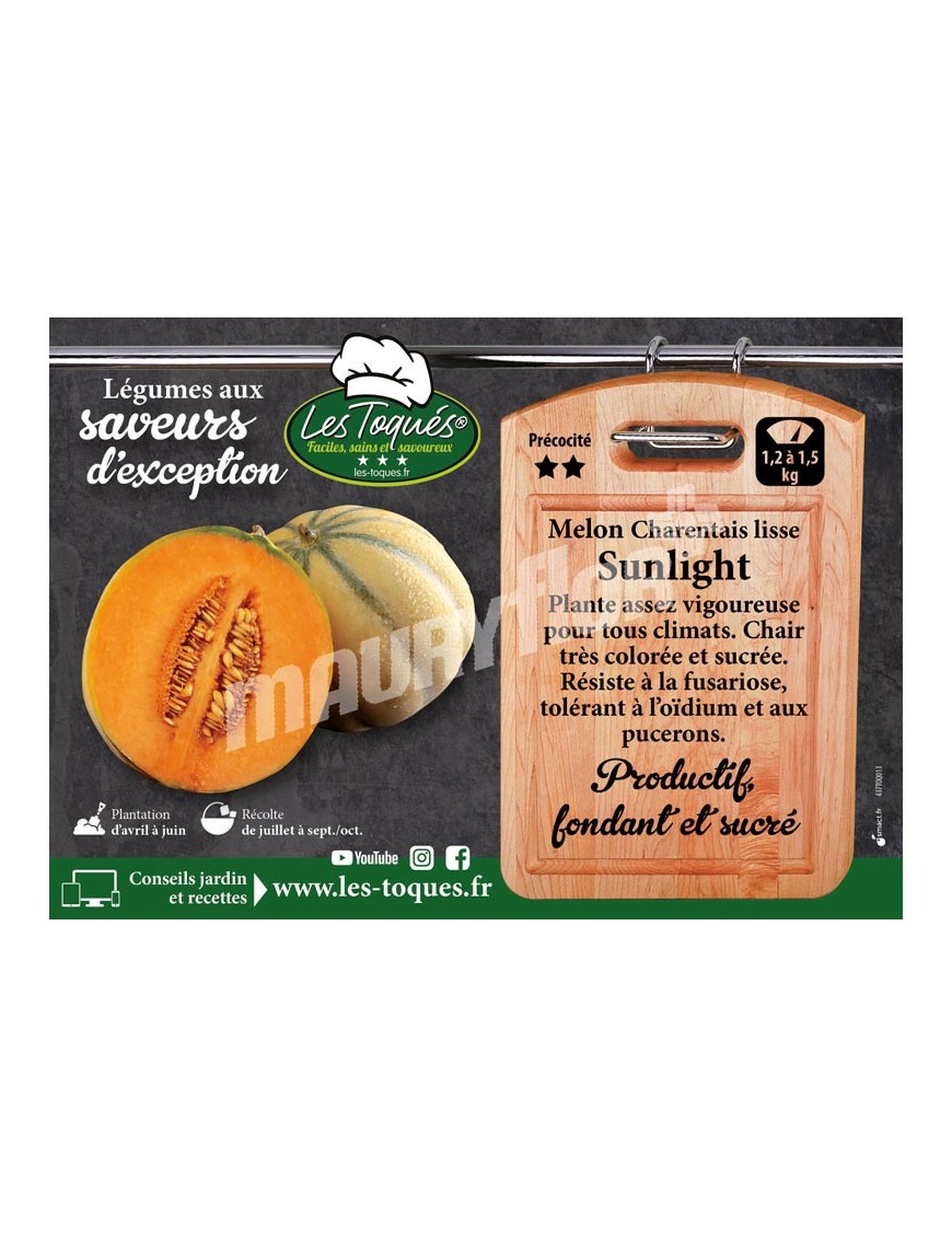 Melon  Sunlight F1