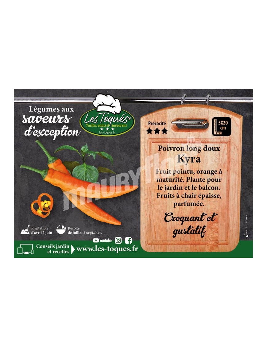 Poivron Kyra F1