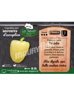 Poivron Waldo F1