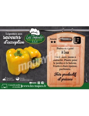 Poivron Elsa F1