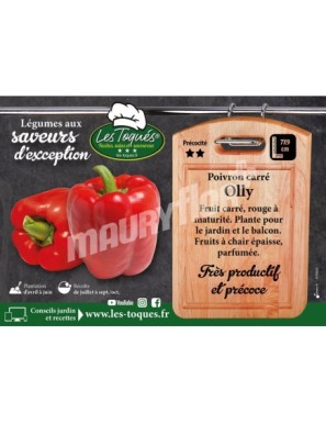 Poivron Olly F1