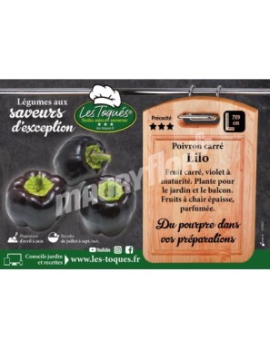 Poivron Lilo F1