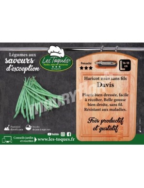 Haricot  Davis