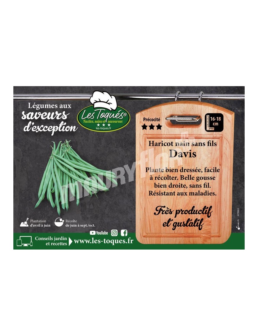 Haricot  Davis