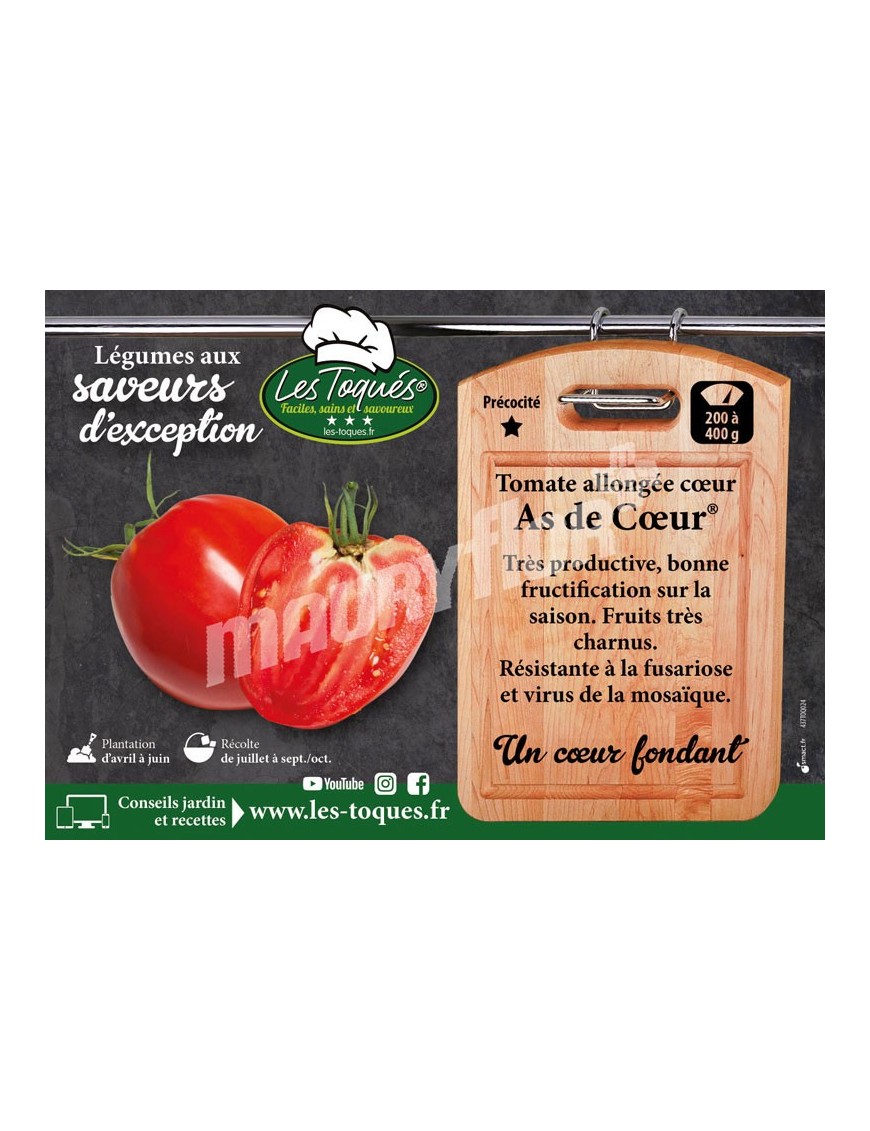 Tomate As de Cœur ® (CO 412 88) F1