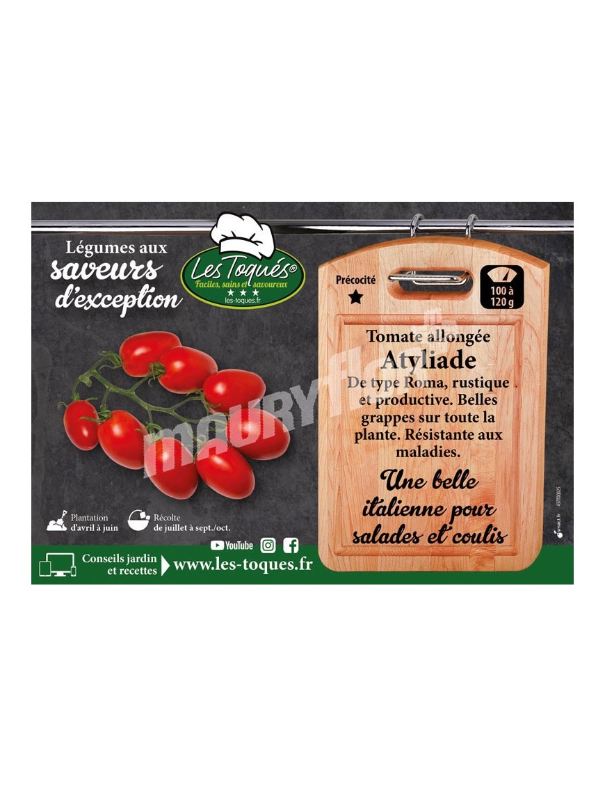 Tomate Atyliade F1