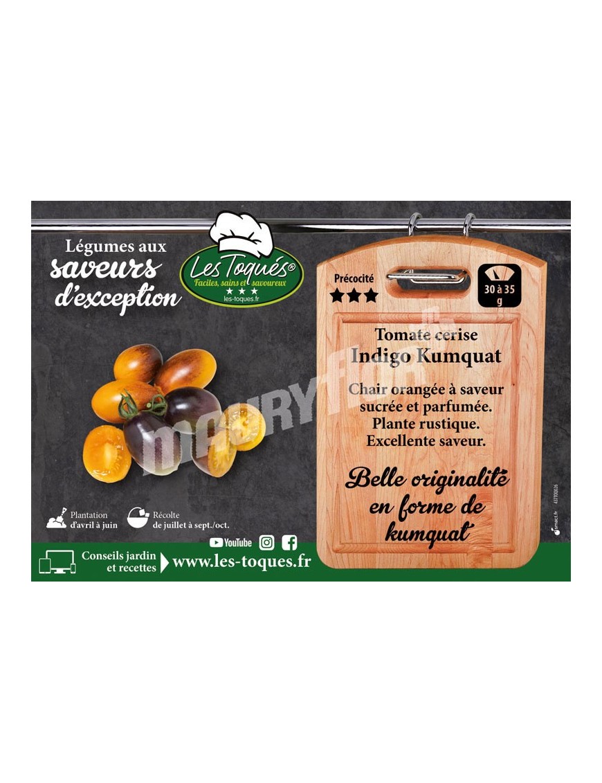 Tomate Indigo Kumquat F1