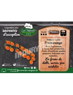 Tomate cerise Dattorange F1