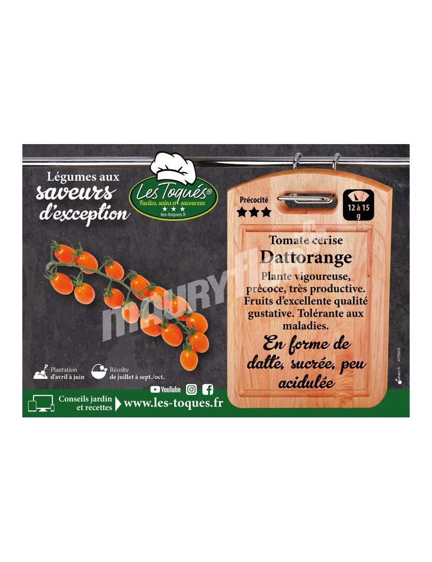 Tomate cerise Dattorange F1