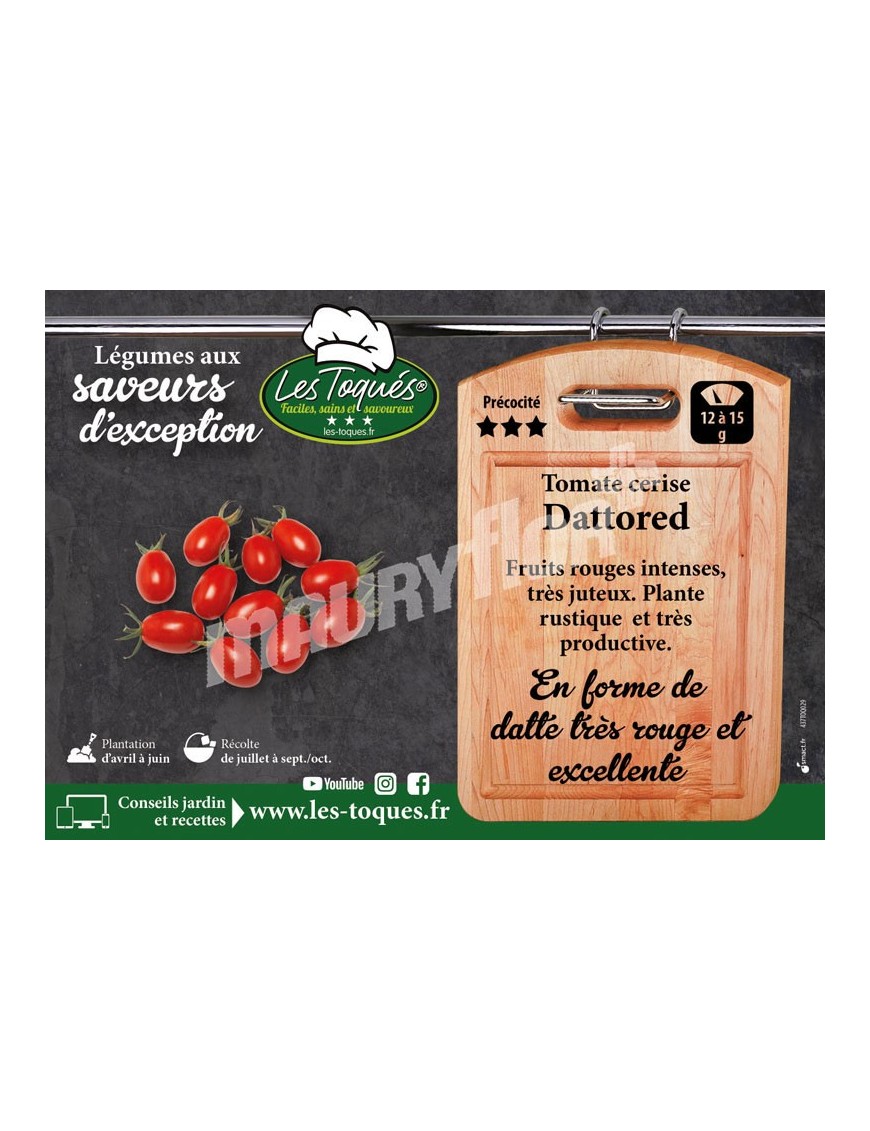 Tomate cerise Dattored F1