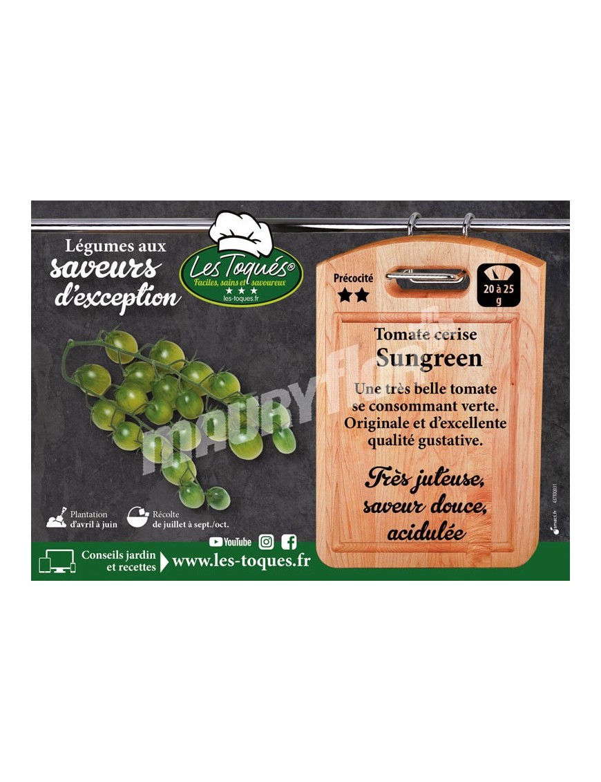 Tomate cerise Sungreen F1