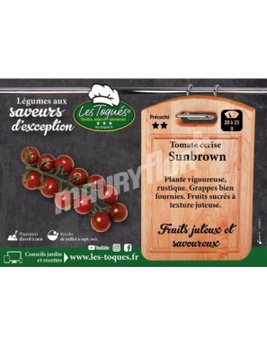 Tomate cerise Sunchocola F1