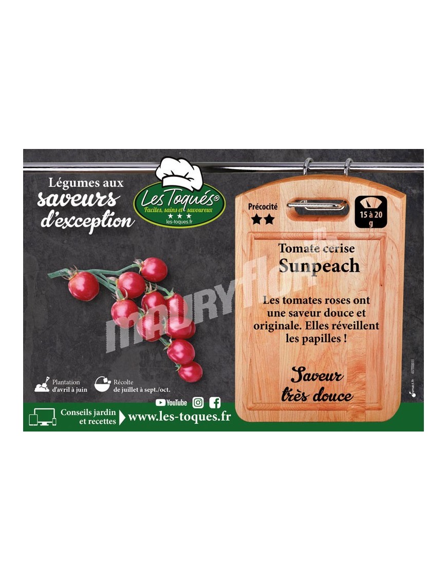 Tomate cerise Sunpeach F1
