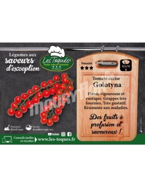Tomate cerise Golotyna F1