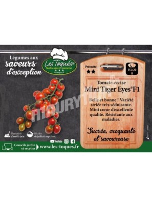Tomate cerise Mini Tiger Eyes ®F1