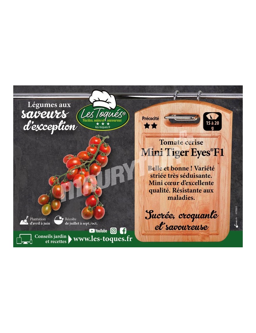 Tomate cerise Mini Tiger Eyes ®F1