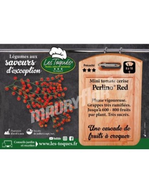 Tomate cerise Perlino ® F1 Red (TO15 066)